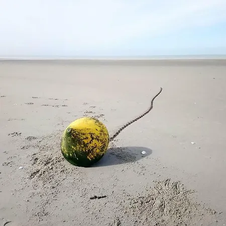 Appartement Le Touquet Berck T2